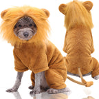 Pet Costumes