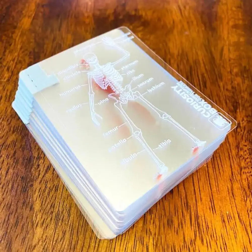 Full Skeleton Human Anatomy Playing Cards