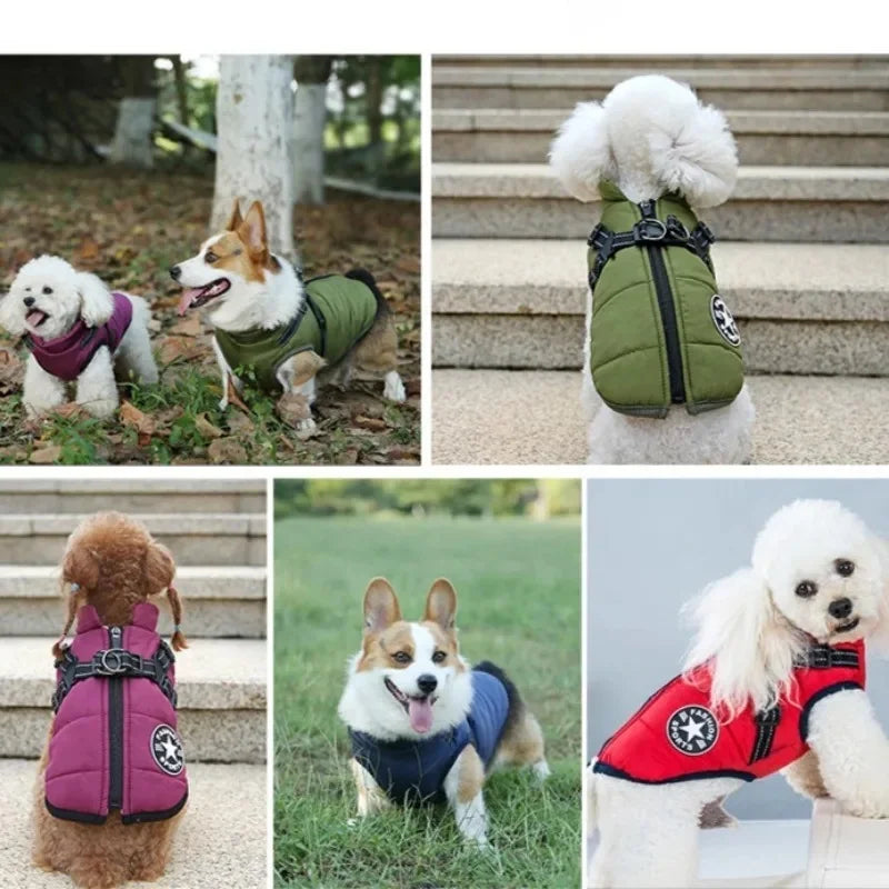 Large Pet Dog Jacket With Harness