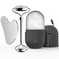 Stainless Steel Facial Roller Skincare Set