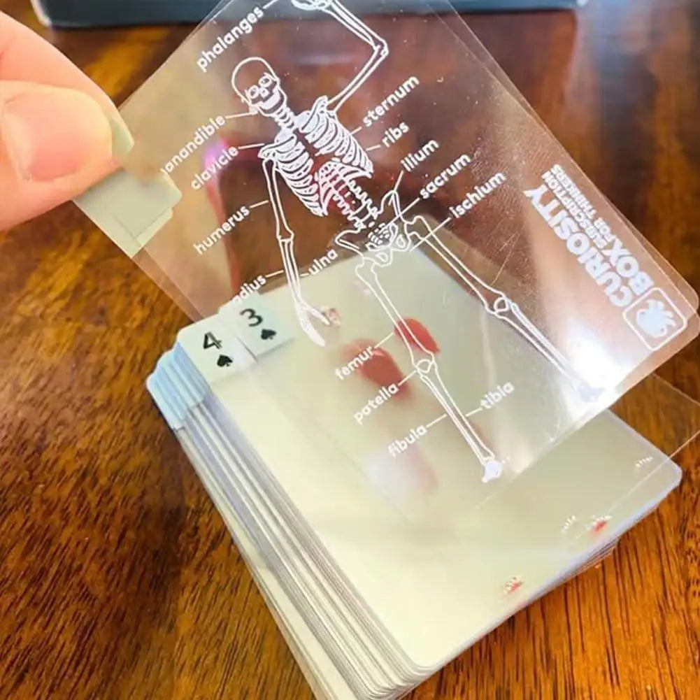 Full Skeleton Human Anatomy Playing Cards