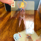 Full Skeleton Human Anatomy Playing Cards